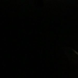 Meet your Posher, Hunter